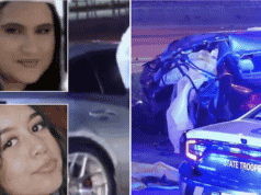 Maiky Simeon Palmetto Expressway wrong way crash kills 5