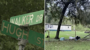 Florida USPS mail carrier dies after mauled by 5 dogs in rural area