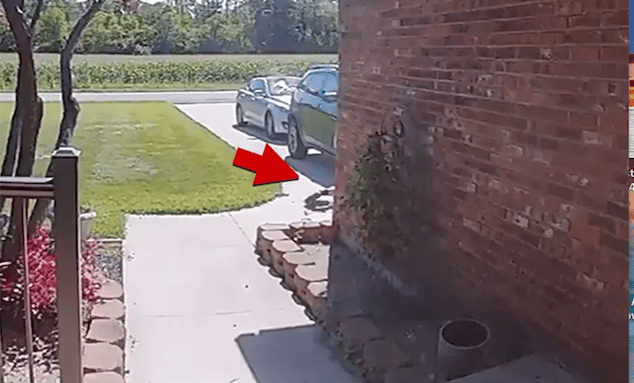 James Rayl video: Ohio man shot dead by father of ex girlfriend trying to break in