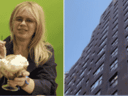 Tiffany Brodvin suicide, NYC woman jumps to her death Sutton Pl luxury building