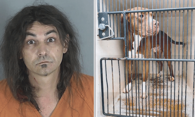 Shannon Lee Cantrell South Carolina man blames witches for throwing pet dog over Spartanburg County bridge.