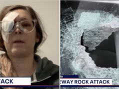 Mark Navone, Contra Costa, California man gets 22 yrs throwing rocks, bricks at drivers
