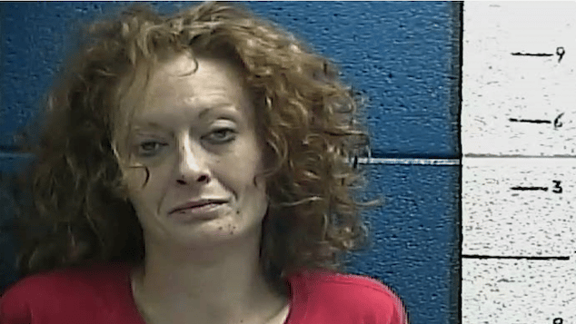 Melissa Wolke KY woman sentenced 20 years jail siccing pit bull in deadly attack
