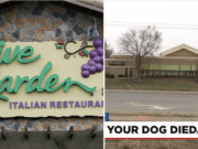 Kansas Olive Garden manager fired over sickness memo