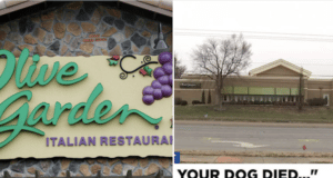 Kansas Olive Garden manager fired over sickness memo