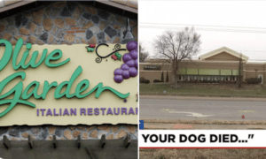 Olive Garden manager fired over sickness memo exposes reality
