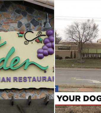 Kansas Olive Garden manager fired over sickness memo