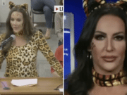 Patriot Barbie board meeting Phoenix mom dresses as cat