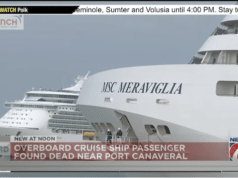Woman dies plunging off MSC Meraviglia cruise