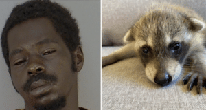 Tevin Williams beats roommate’s raccoon with hammer