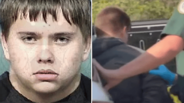 Tobias Jacob Brewer stabs, beats mom with frying pan over keeping his room clean
