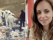 Ana Walshe murder