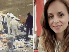 Ana Walshe murder