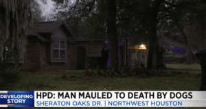 Houston man mauled to death by neighbours dogs protect poodle