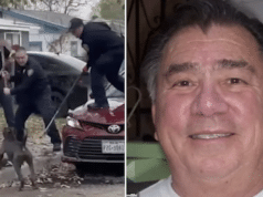 Ramon Najera San Antonio man mauled to death by dog pack