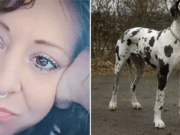 Kristin Potter PA woman mauled to death by Great Danes dogs.