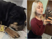 Brianne Venneri PA woman burns boyfriend's puppy with blowtorch