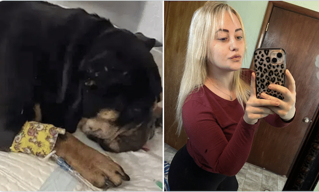 Brianne Venneri PA woman burns boyfriend's puppy with blowtorch