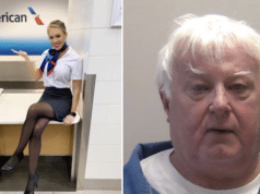 Gary Matthew Sorichetti gropes American Airlines flight attendant