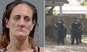 Kathleen Taylor, Pensacola dog owner failure to secure dogs kill man