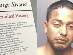 George Alvarez, Brownsville, Texas driver charged manslaughter