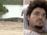 Jordan Rivera alligator attack Port Charlotte, Florida