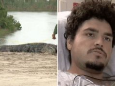 Jordan Rivera alligator attack Port Charlotte, Florida