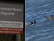 Sandy Hook Beach drowning