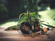 CBD benefits