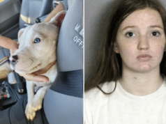 Chloe Wisniewski Port Charlotte, FL woman leaves puppy alone with baby only to bite off fingers