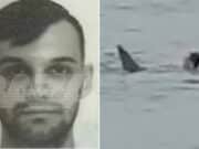 Vladimir Popov Russian tourist body parts discovered inside tiger shark that ate him alive swimming at Egyptian beach resort