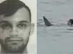 Vladimir Popov Russian tourist body parts discovered inside tiger shark that ate him alive swimming at Egyptian beach resort