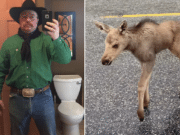 Mark Skage Canadian man fired saving baby moose from black bear