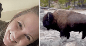 Amber Harris Arizona woman survives Yellowstone bison unprovoked attack