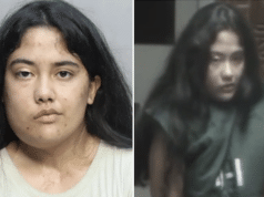 Jazmin Paez, Miami mom uses fake hitman website to try to kill son