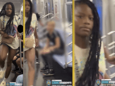 Sue Young and Asian family attacked on NYC subway train by 3 black teen girls