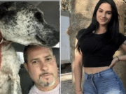 3 hunters die trying to rescue dog in cistern