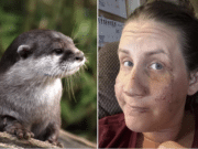 Jen Royce otter attack: Bozeman, Montana woman and friends set upon while tubing.