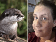 Jen Royce otter attack: Bozeman, Montana woman and friends set upon while tubing.