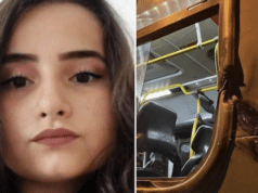 Fernanda Pacheco Ferraz, Brazilian girl on school bus killed in freak accident when head collides with pole