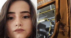 Fernanda Pacheco Ferraz, Brazilian girl on school bus killed in freak accident when head collides with pole