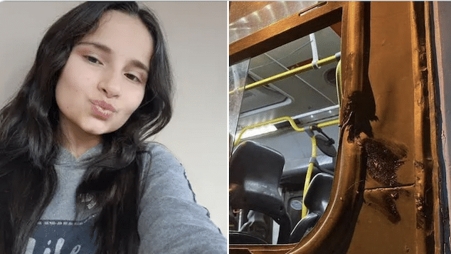 Fernanda Pacheco Ferraz, Brazilian girl on school bus killed in freak accident when head collides with pole