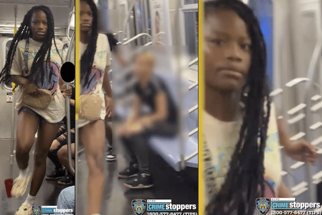 Sue Young and Asian family attacked on NYC subway train by 3 black teen girls