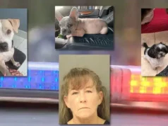 Tammy Garceau Lake Worth, Florida woman leaves 3 dogs to die in hot car