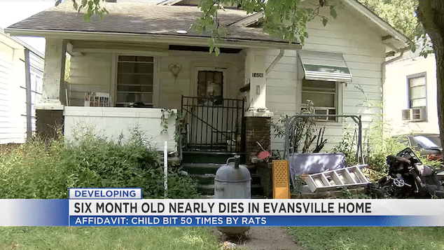 Indiana baby nearly eaten alive by rats