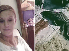 Sabrina Peckham homeless Fl woman, mauled to death by alligator