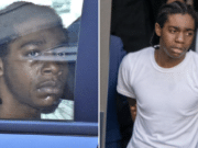 Brian Dowling, Brooklyn man, 18, arrested Ryan Carson social justice activist murder