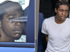 Brian Dowling, Brooklyn man, 18, arrested Ryan Carson social justice activist murder