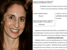 Elizabeth Hirschhorn Airbnb squatter and professional litigant