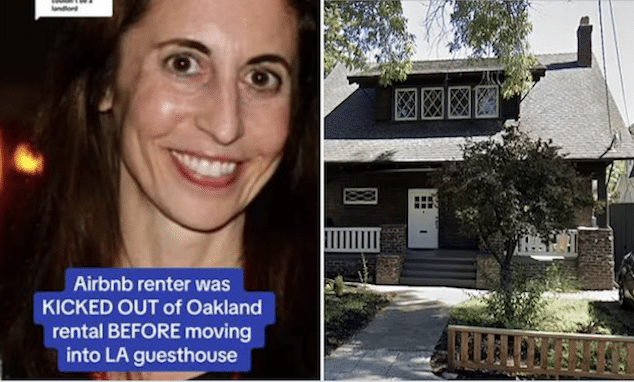 Elizabeth Hirschhorn Airbnb squatter and professional litigant